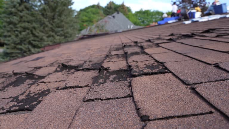 Cold Roofs in Elgin, MN