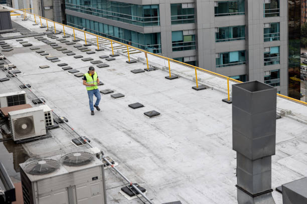 Best Solar Panel Roofing Installation  in Elgin, MN