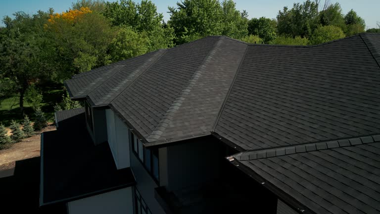 Best Solar Panel Roofing Installation  in Elgin, MN