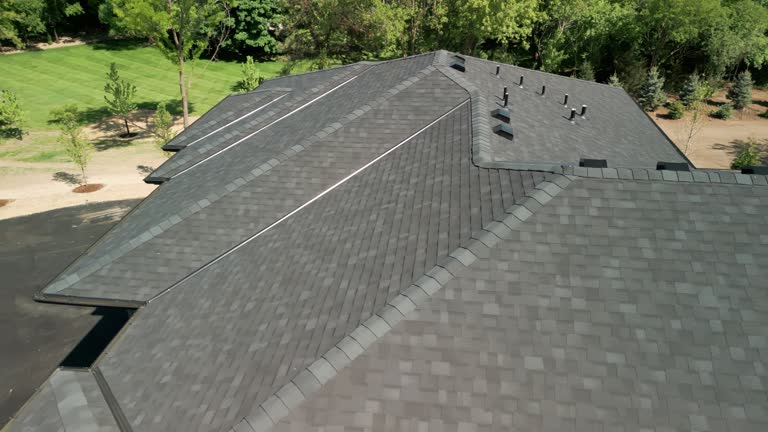 Best Roof Leak Repair  in Elgin, MN