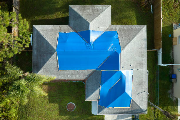 Best Skylight Installation and Repair  in Elgin, MN
