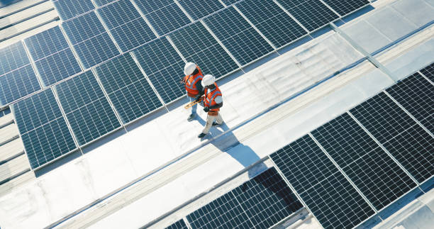 Best 4 Ply Roofing  in Elgin, MN