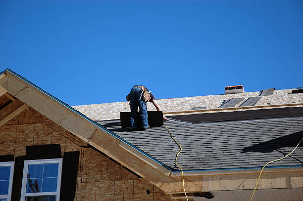 Best Roof Insulation Installation  in Elgin, MN