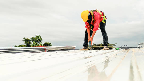 Best 4 Ply Roofing  in Elgin, MN