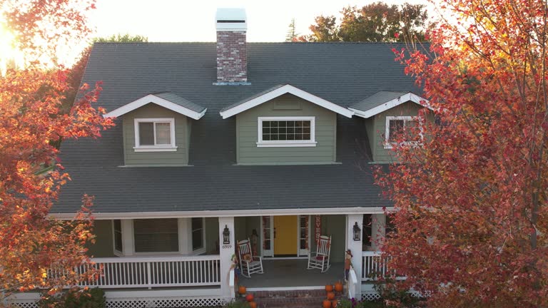 Roof Insulation in Elgin, MN
