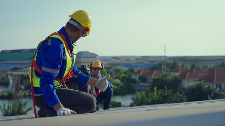 Steel Roofing in Elgin, MN