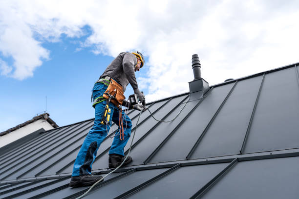 Best Gutter Installation and Repair  in Elgin, MN